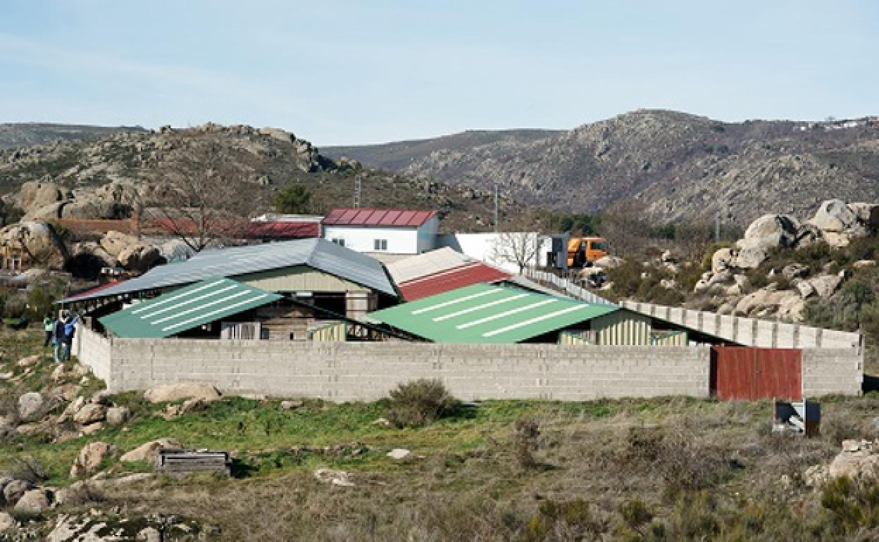 Vista general de la granja de visones de la localidad abulense de Navatalgordo, donde se ha detectado un ejemplar infectado por SARS-CoV-2, por lo que la Junta de Castilla y León ha ordenado el sacrificio y la destrucción de los 1.000 ejemplares de visones americanos de la explotación. 