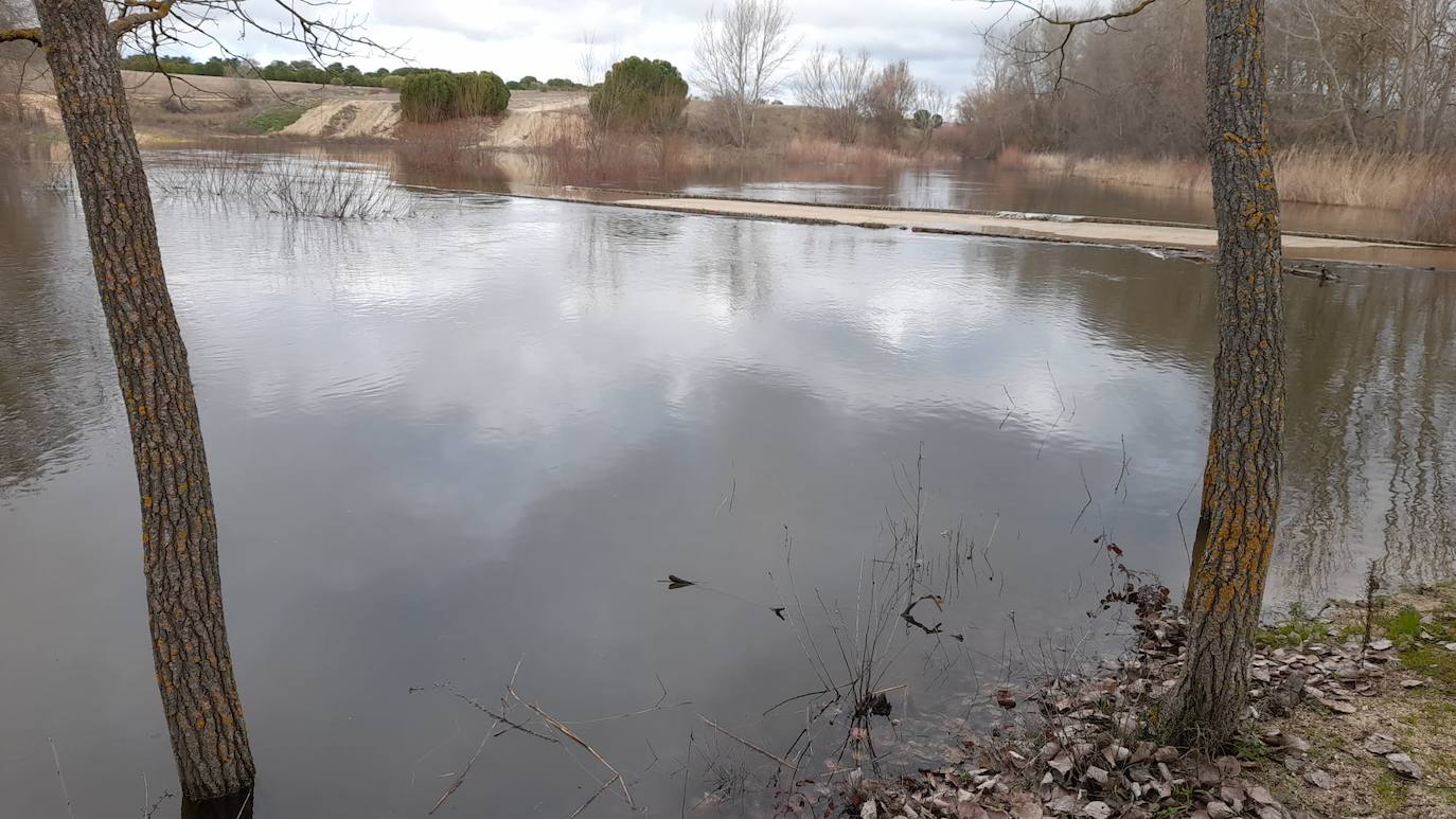 El Adaja, a su paso por Matapozuelos. 