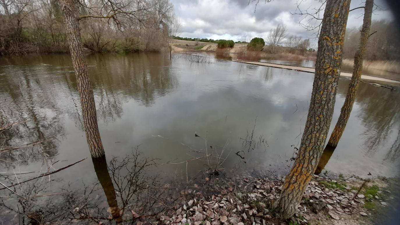 El Adaja, a su paso por Matapozuelos. 