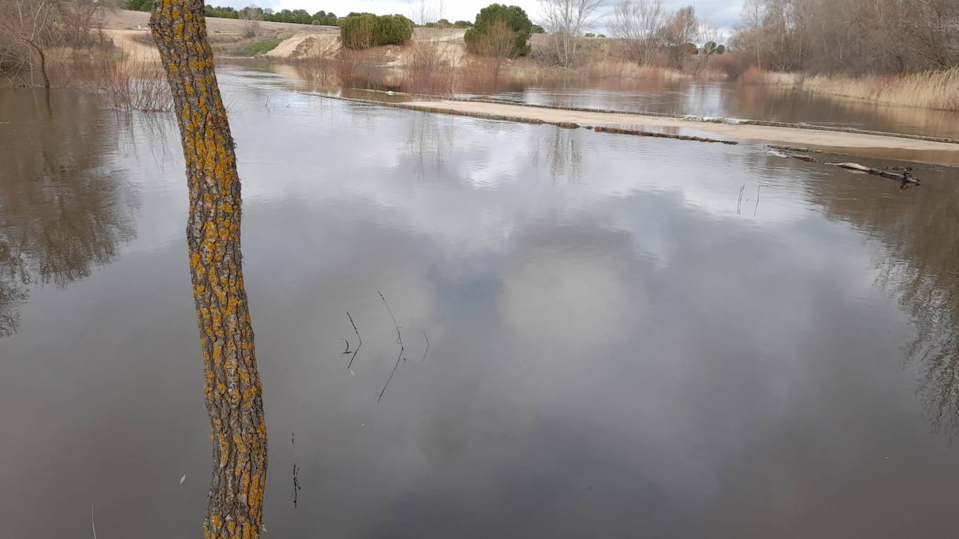 El Adaja, a su paso por Matapozuelos. 