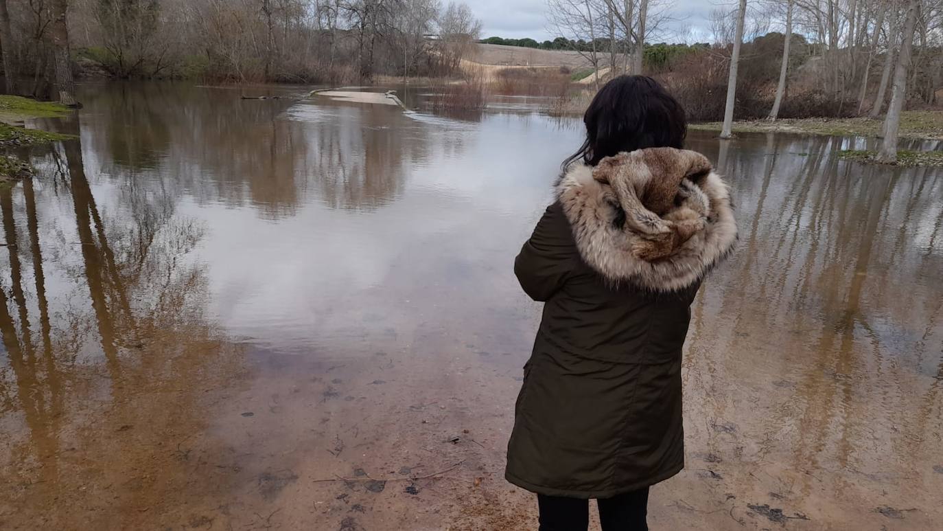 El Adaja, a su paso por Matapozuelos. 