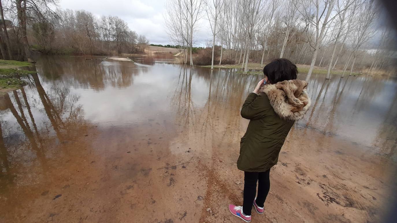 El Adaja, a su paso por Matapozuelos. 