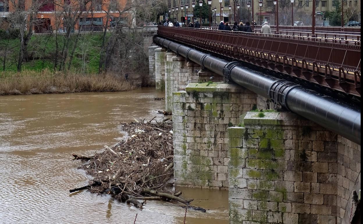El Pisuerga vuelve a su cauce y deja un tapón de troncos en el Puente Mayor de Valladolid