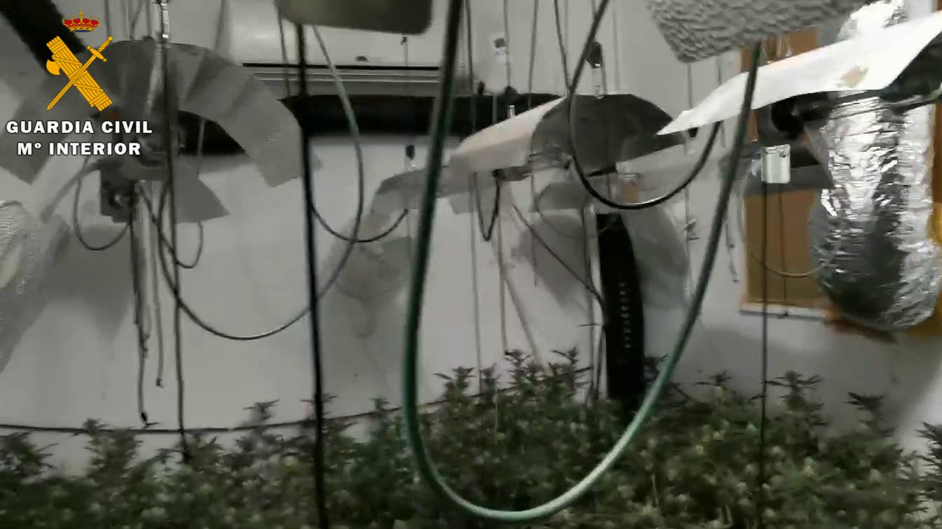 Laboratorio de marihuana en el interior de la vivienda de Fresno de Cantespino.