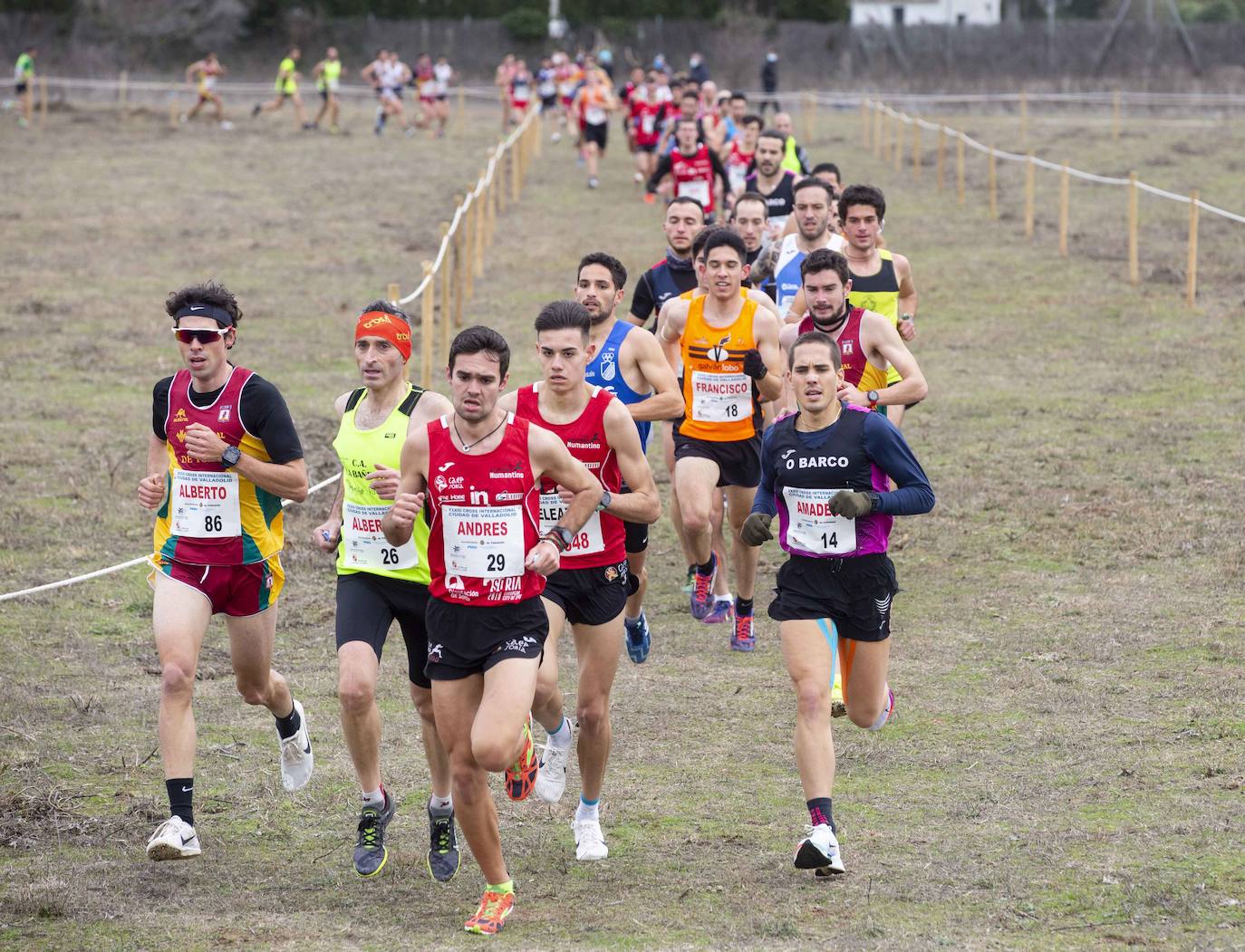 Fotos: Cross Ciudad de Valladolid