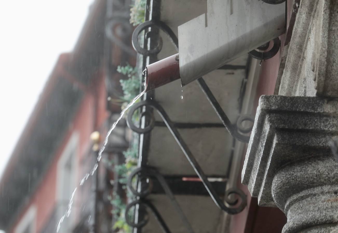 Fotos: Día de lluvia en Valladolid