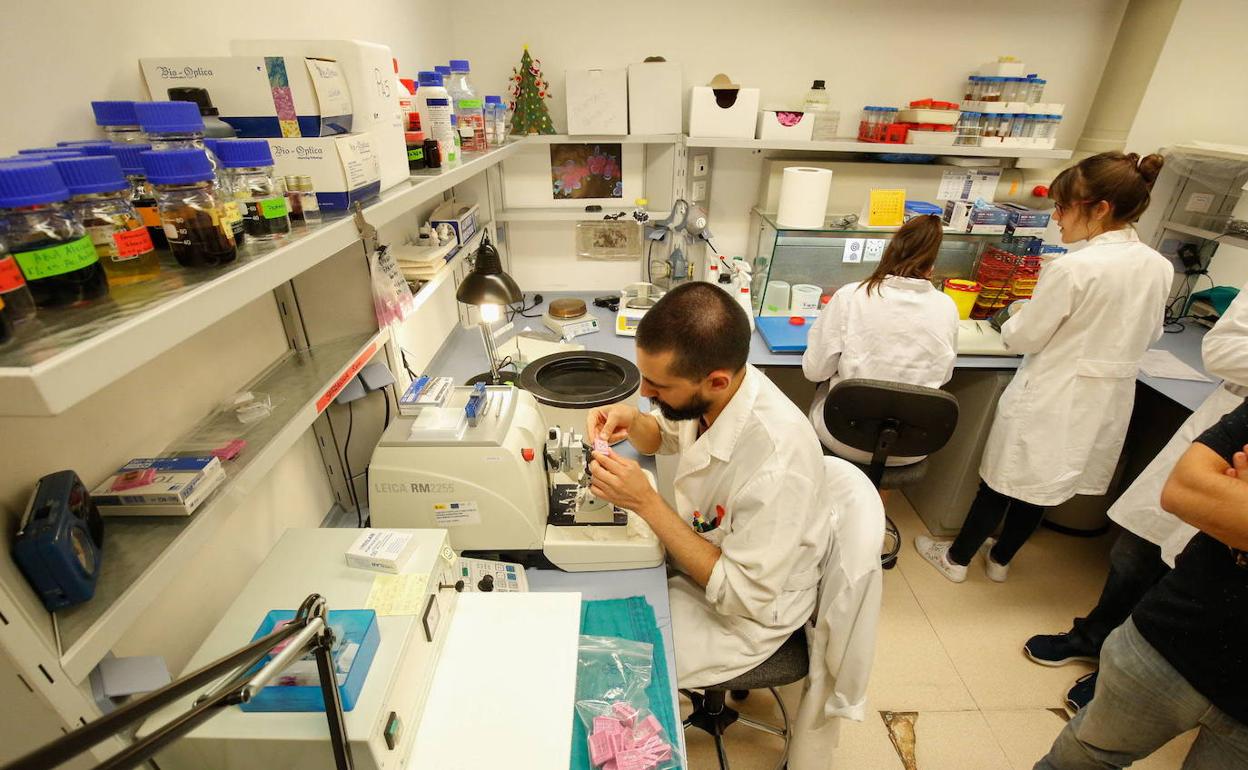 Uno de los laboratorios del Centro de Investigación del Cáncer.
