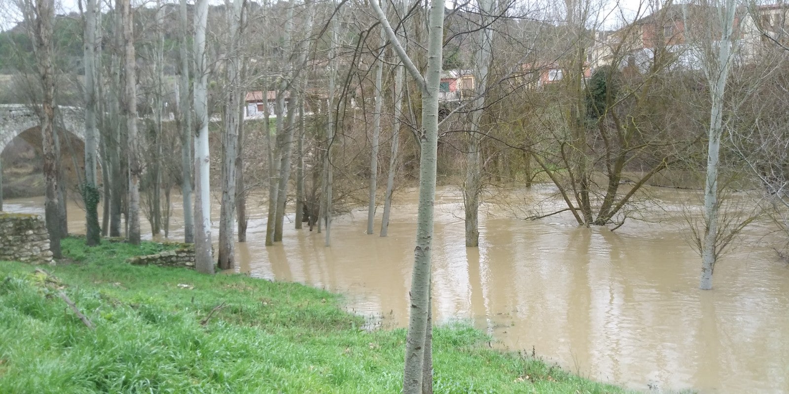 El río Cega a su paso por Megeces.