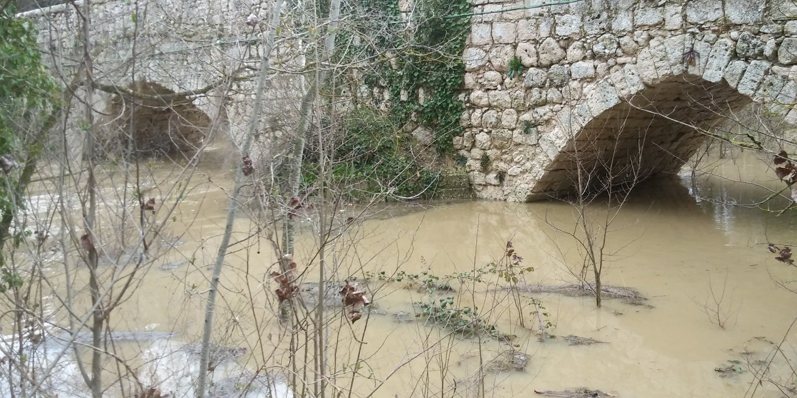 El río Cega a su paso por Cogeces de Íscar.