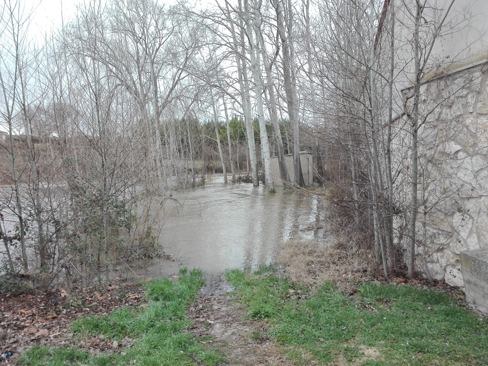 El Duratón a su paso por Peñafiel.