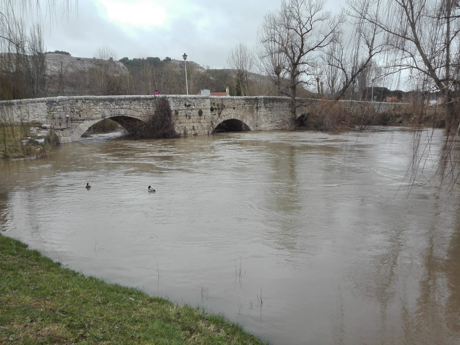 El Duratón a su paso por Peñafiel.