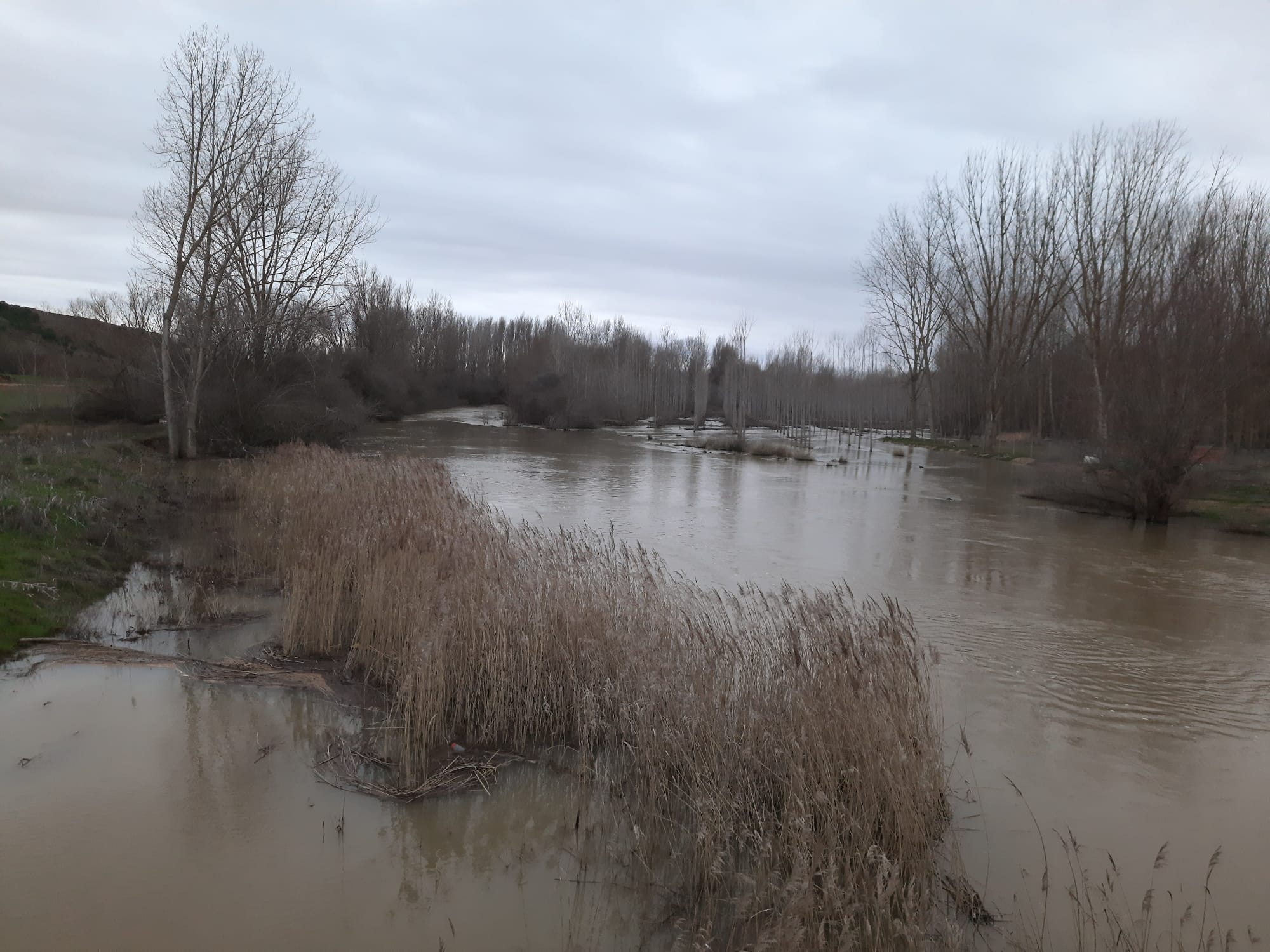 El Cea a su paso por Melgar de Arriba se inundado plantíos.