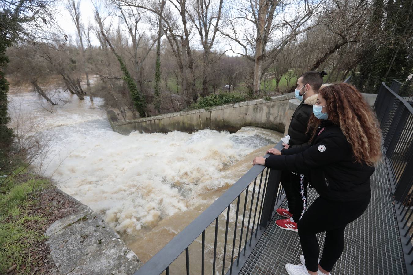 Fotos: Crecida del río Pisuerga a su paso por Valladolid
