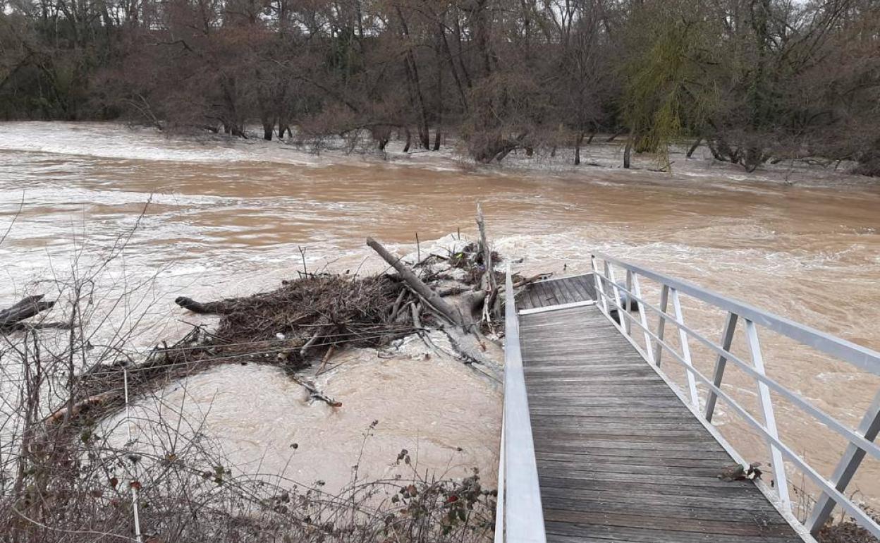 Troncos acumulados sobre el embarcadero de Valbuena de Duero.