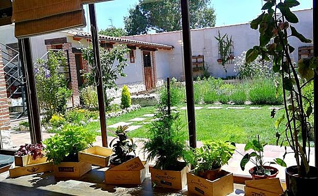 Huerto jardín del restaurante La Botica de Matapozuelos en verano. 