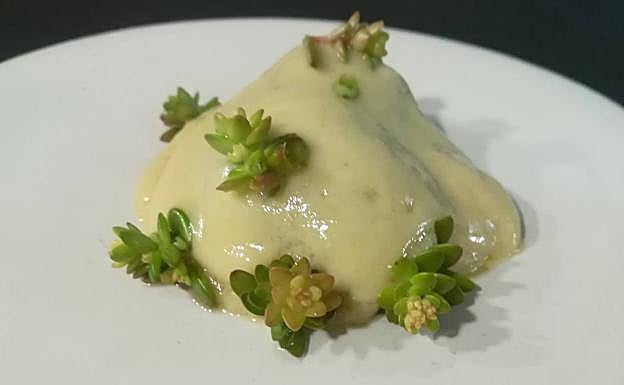 Hongo asado con pil pil de garbanzos y crasulaceas (plantas que almacenan agua en sus hojas suculentas). 