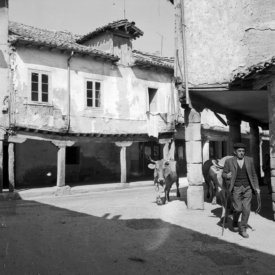 Fotos: Las fotografías de Carlos Flores en el Museo Etnográfico