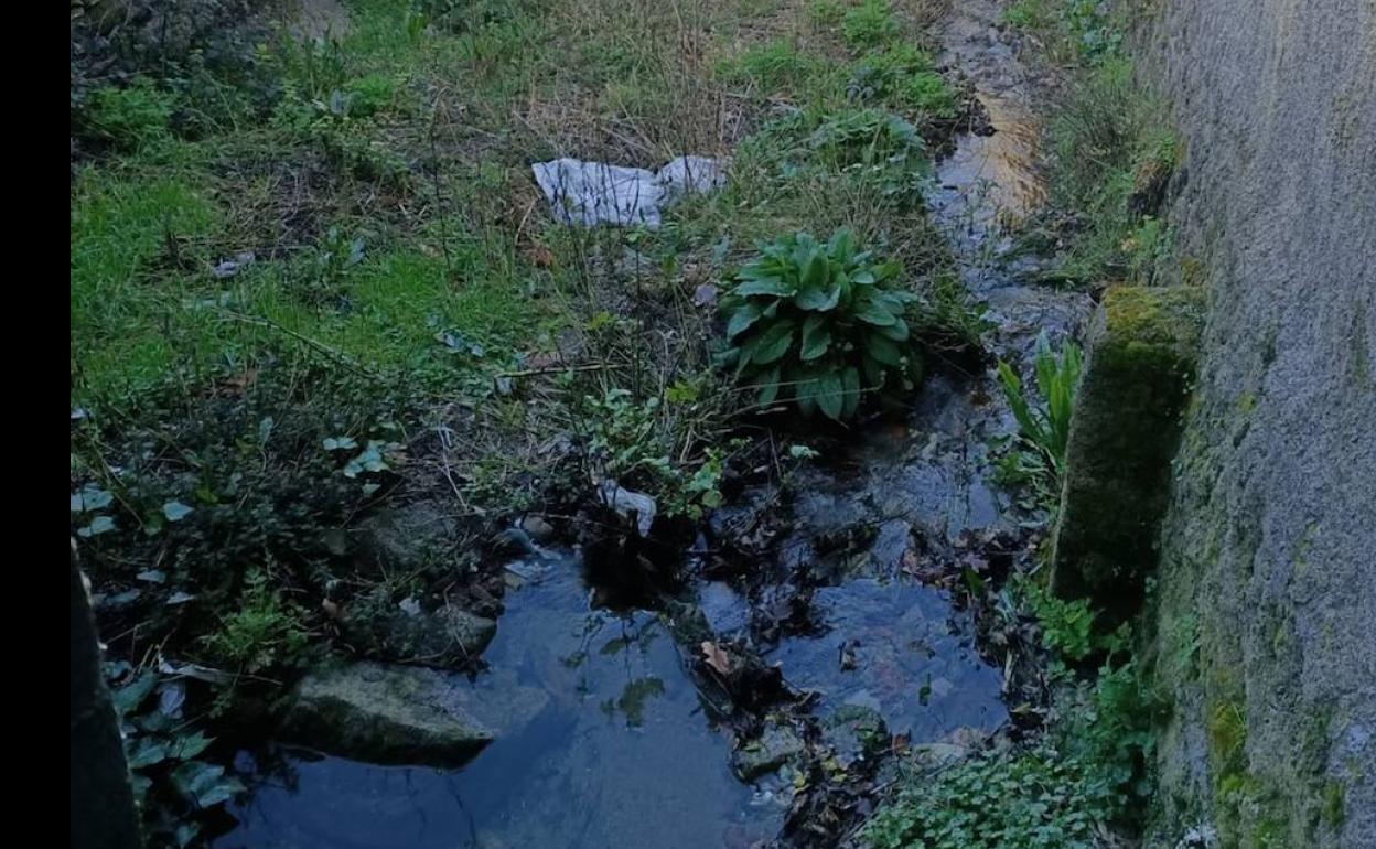 Regato a su paso por el municipio de Linares de Riofrío. 