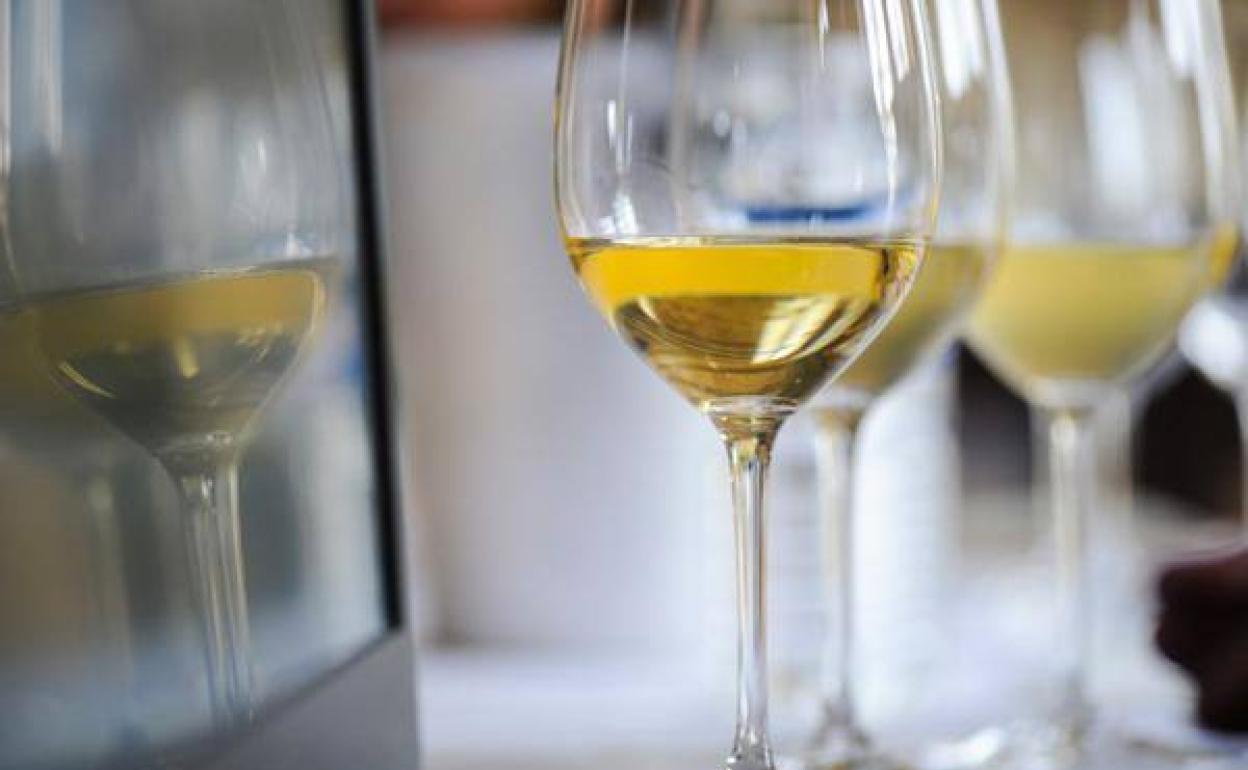 Copas de vinos eleborados con la variedad blanca sauvignon blanc. 