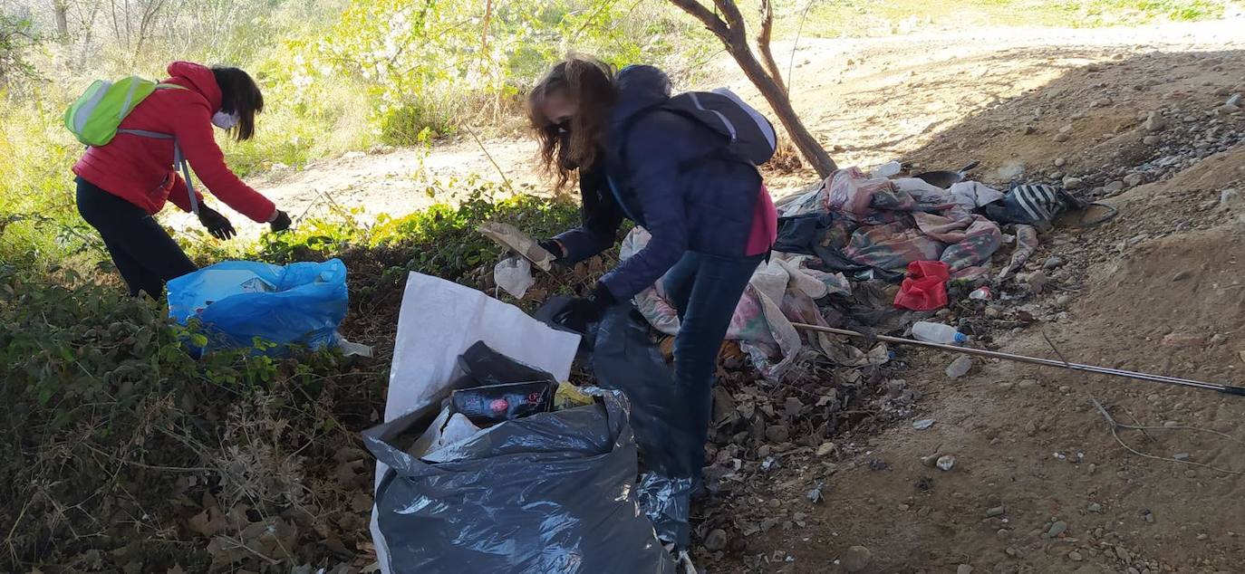 Fotos: Batida de limpieza en al ribera del Pisuerga a su paso por Valladolid