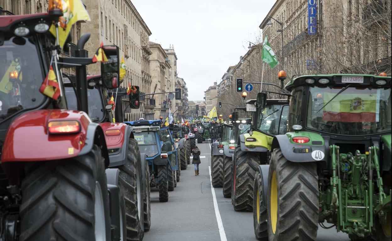 Tractorada por las calles de la ciudad de las organizaciones profesionales agrarias de Salamanca en enero de 2020.