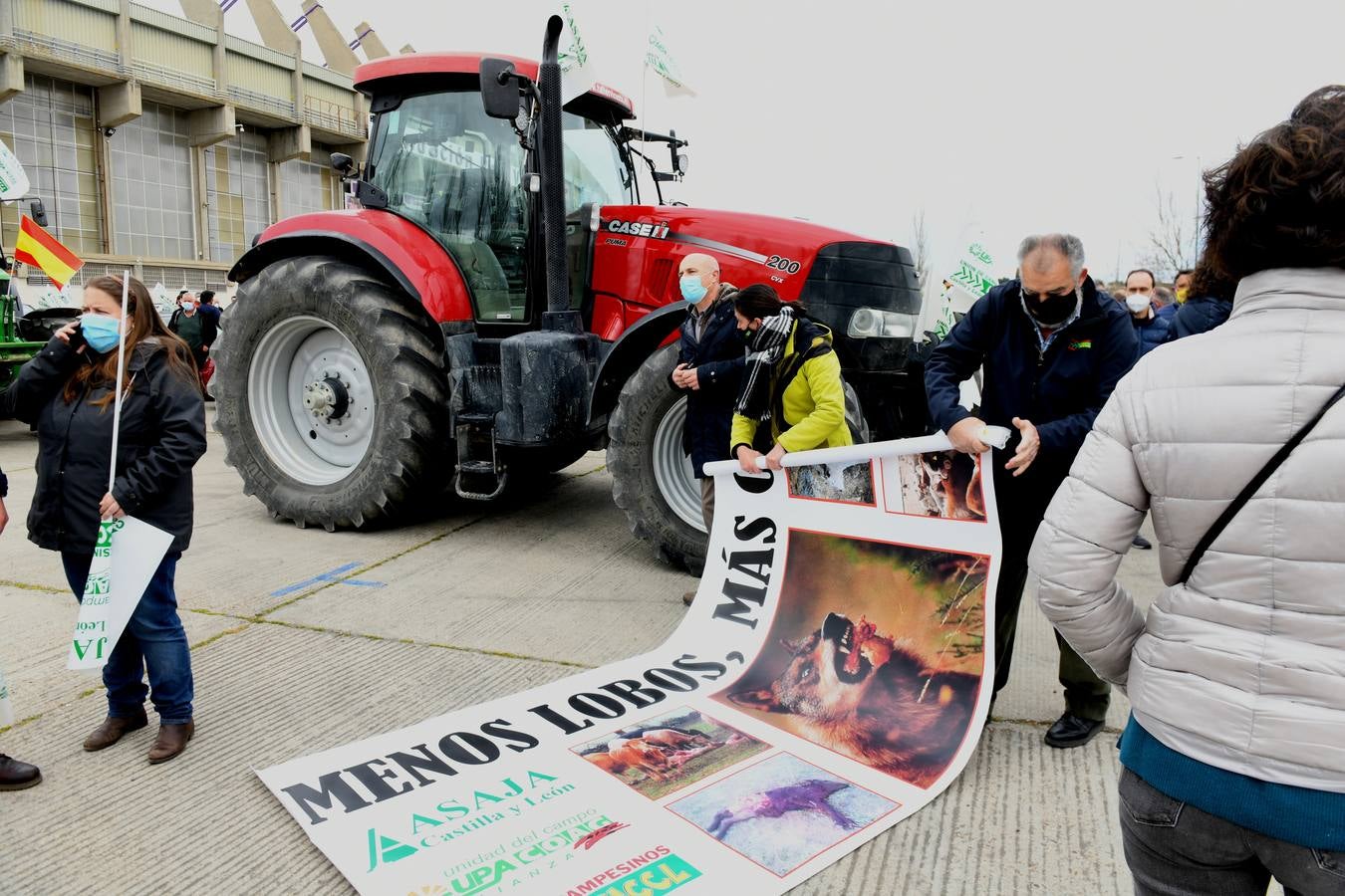 Fotos: Protesta de ganaderos en Valladolid en contra de la sobreprotección del lobo
