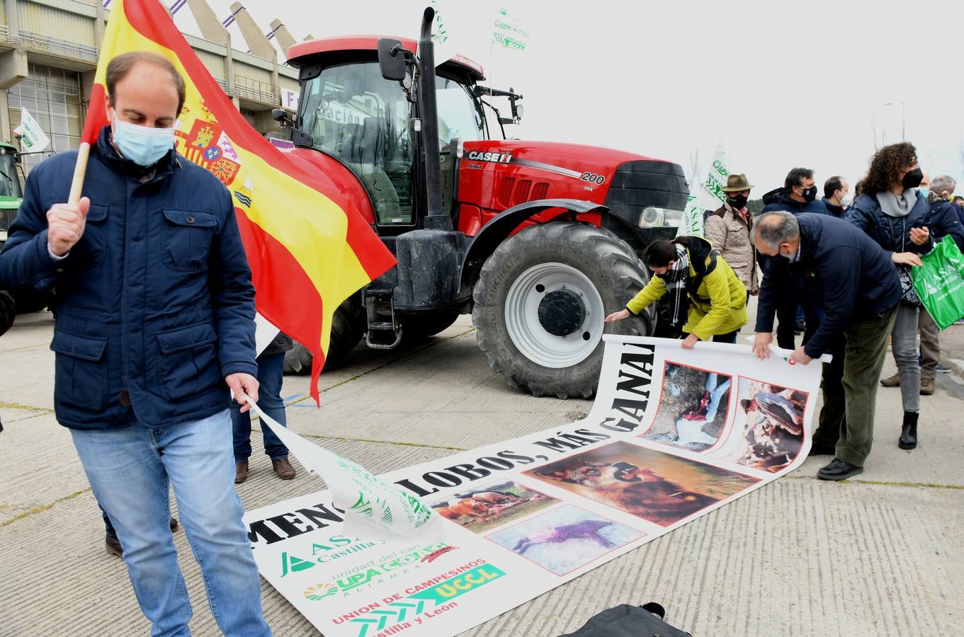 Fotos: Protesta de ganaderos en Valladolid en contra de la sobreprotección del lobo