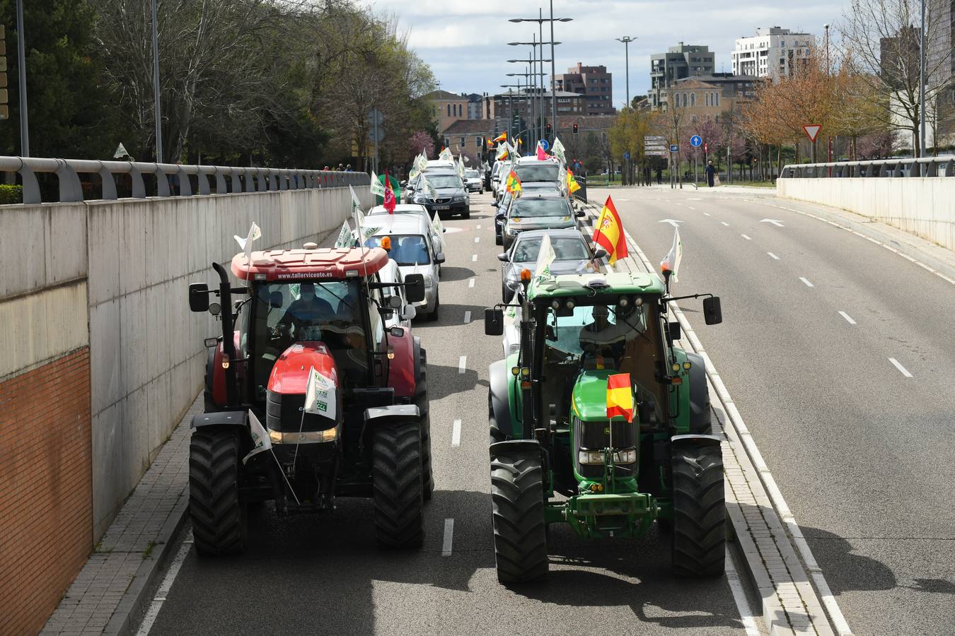 Fotos: Protesta de ganaderos en Valladolid en contra de la sobreprotección del lobo