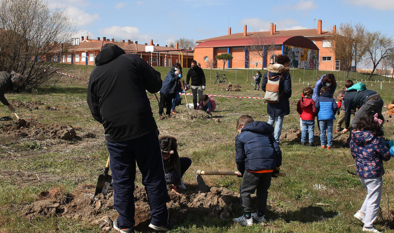 Plantación de árboles en Nueva Segovia 