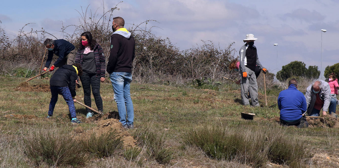 Plantación de árboles en Nueva Segovia 