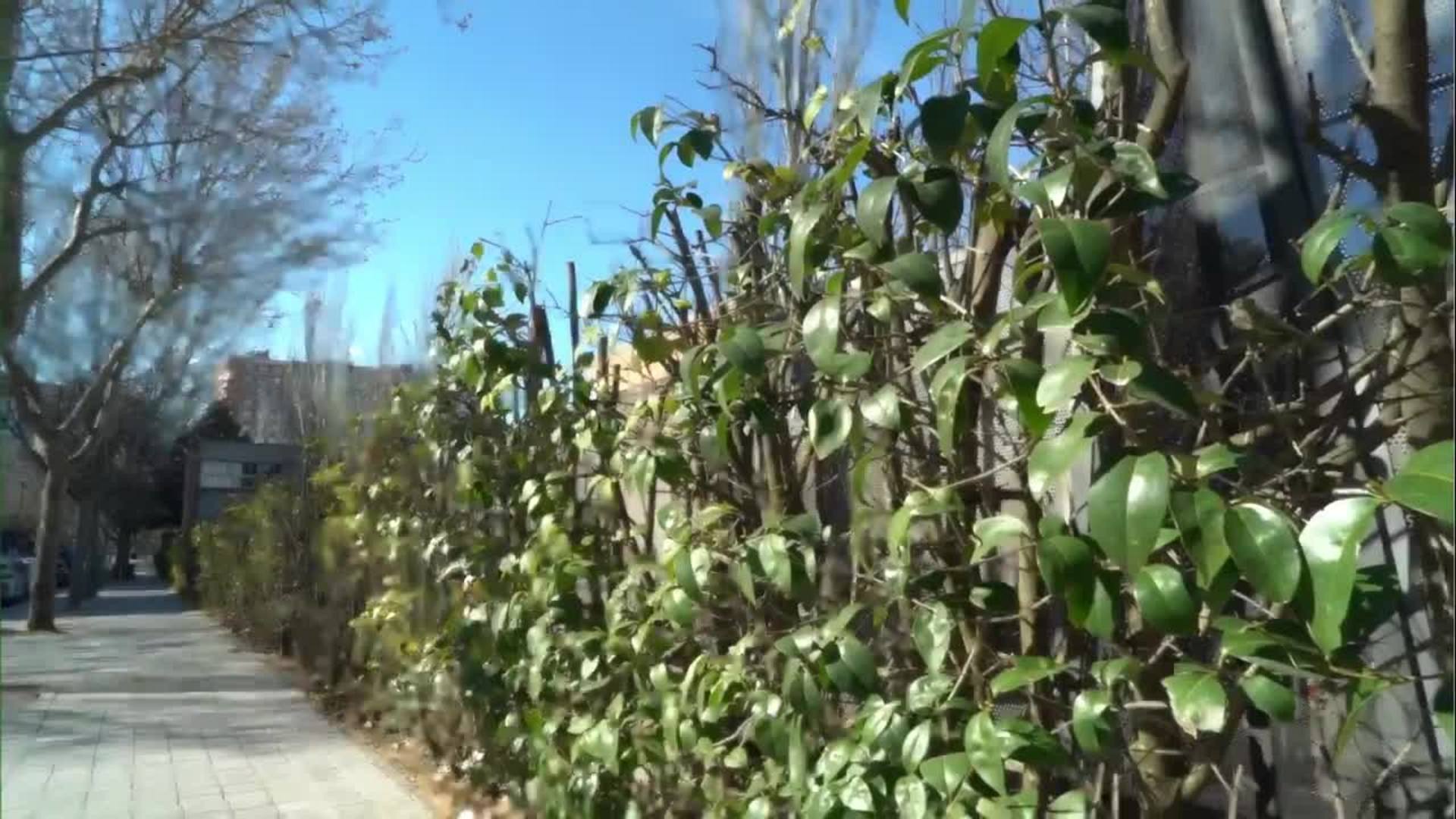 Averigua qué calle de Valladolid es en menos de un minuto