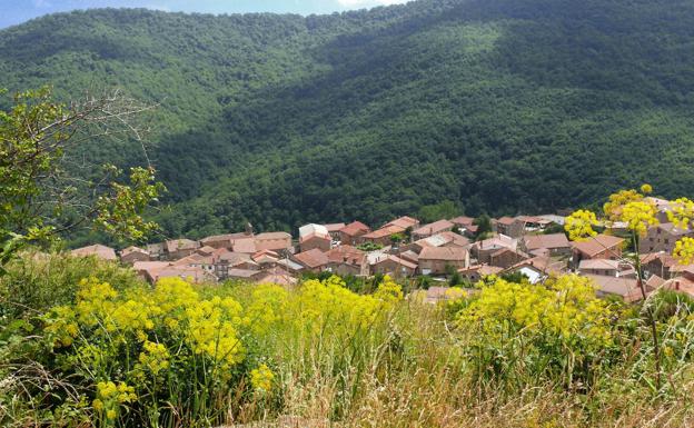 Vista de Brañosera. 