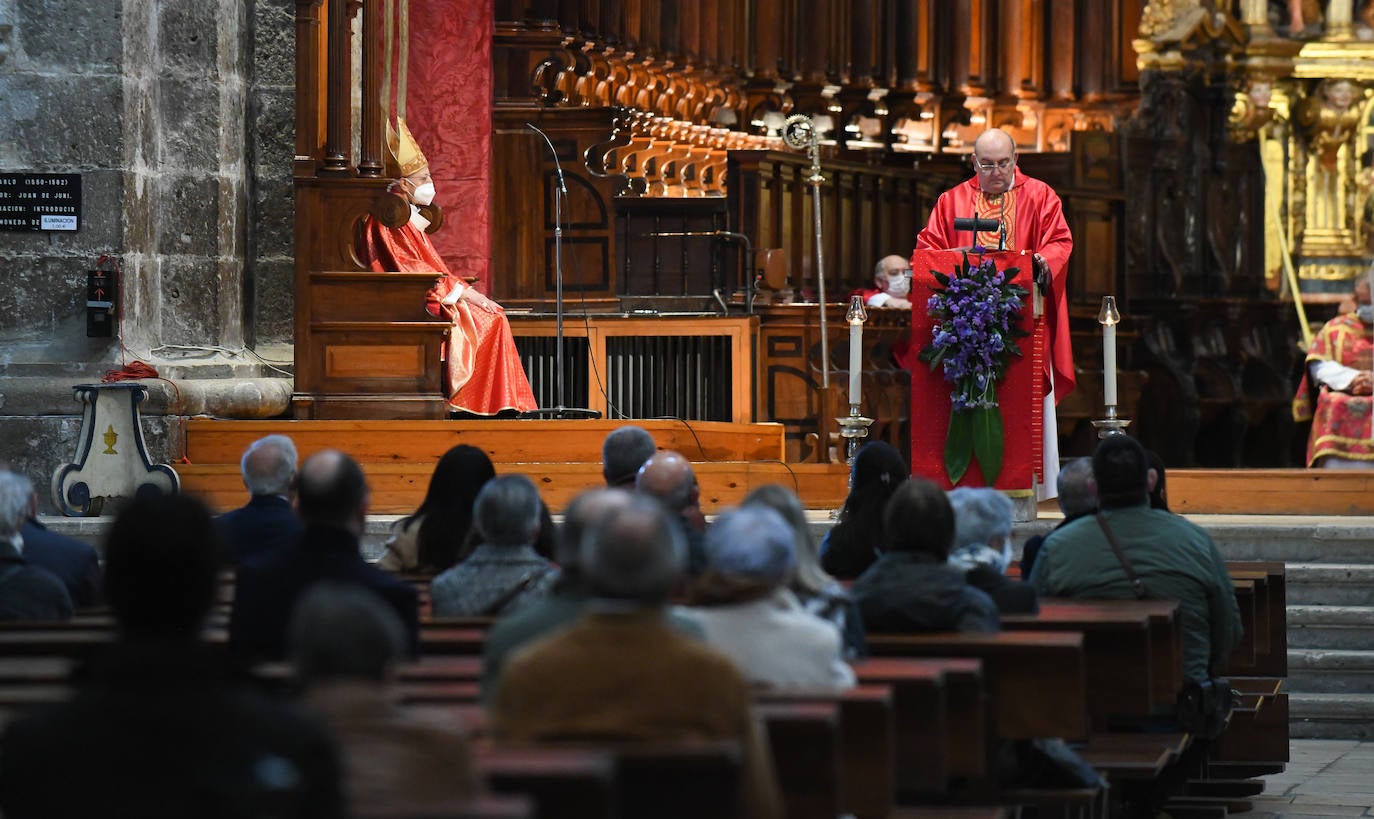 Fotos: Domingo de Ramos en Valladolid