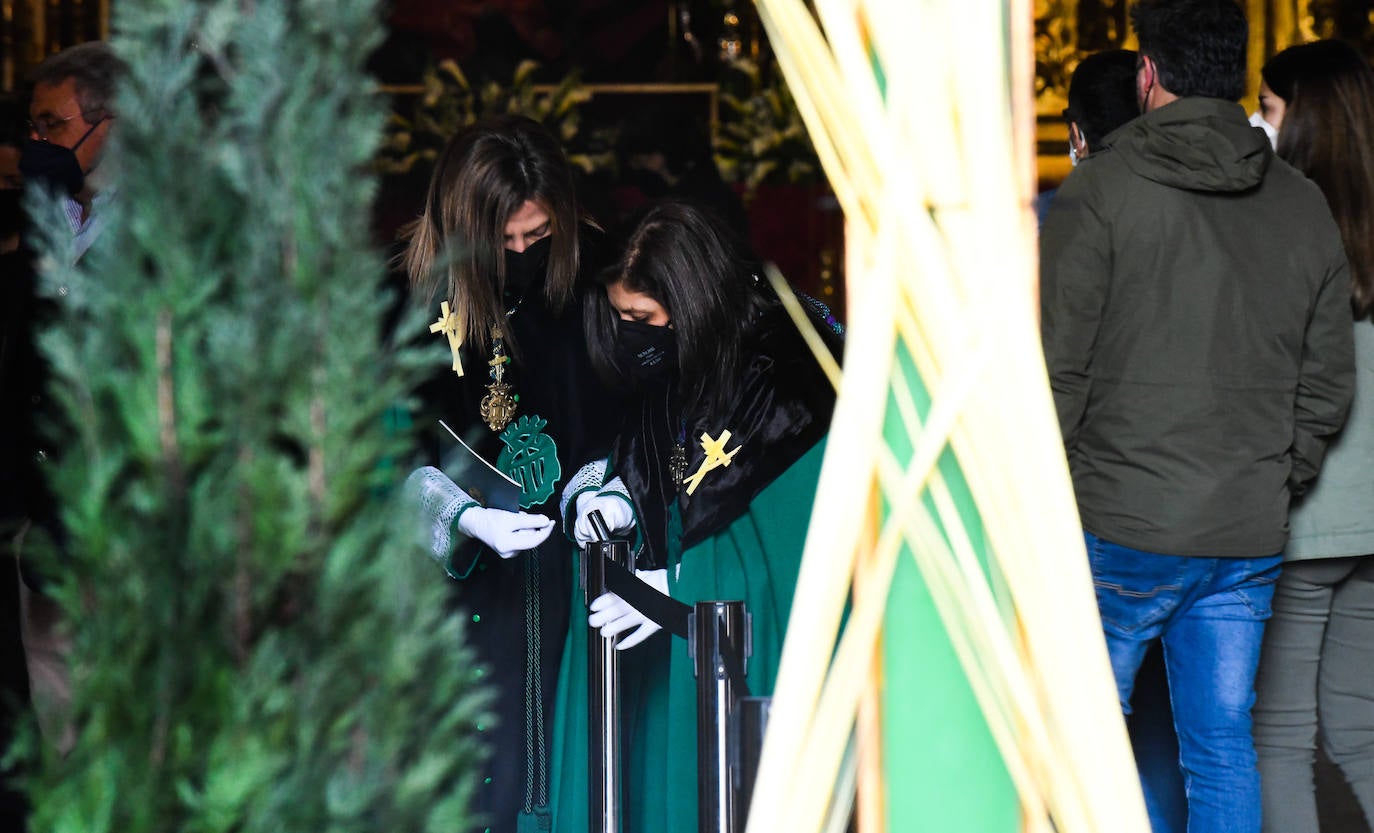 Fotos: Domingo de Ramos en Valladolid