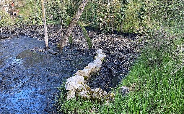 Imagen principal - Distintos puntos del vertido que ha desbordado el arroyo Sangujero.