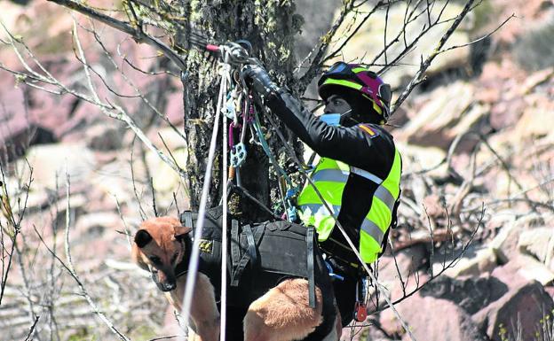 Un militar de la UME iza a un perro en una tirolina. 