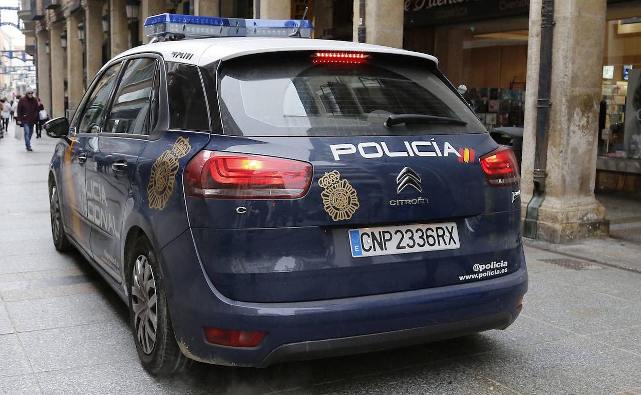 Un encapuchado armado con un cuchillo atraca una tienda de mascotas en Palencia