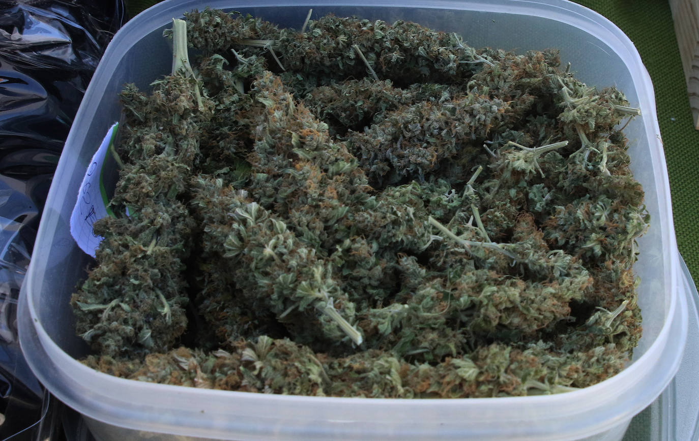 Operación antidroga en Segovia 