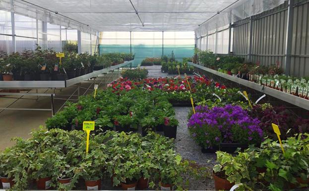 TCA Centro de jardinería en Segovia