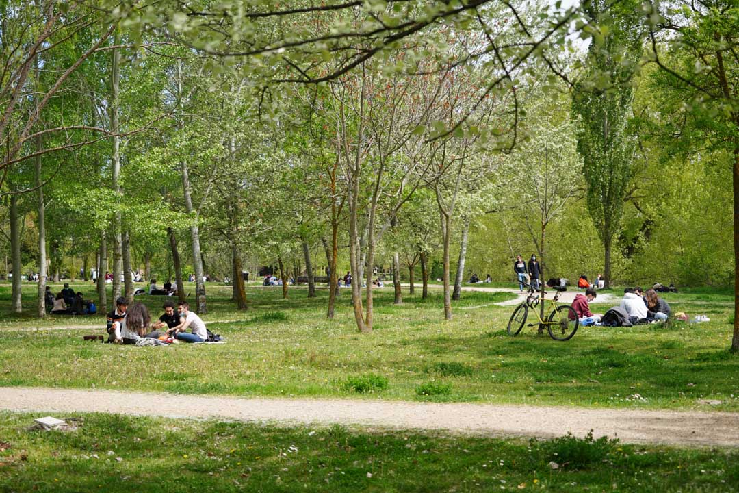 Lunes de Aguas en Salamanca 