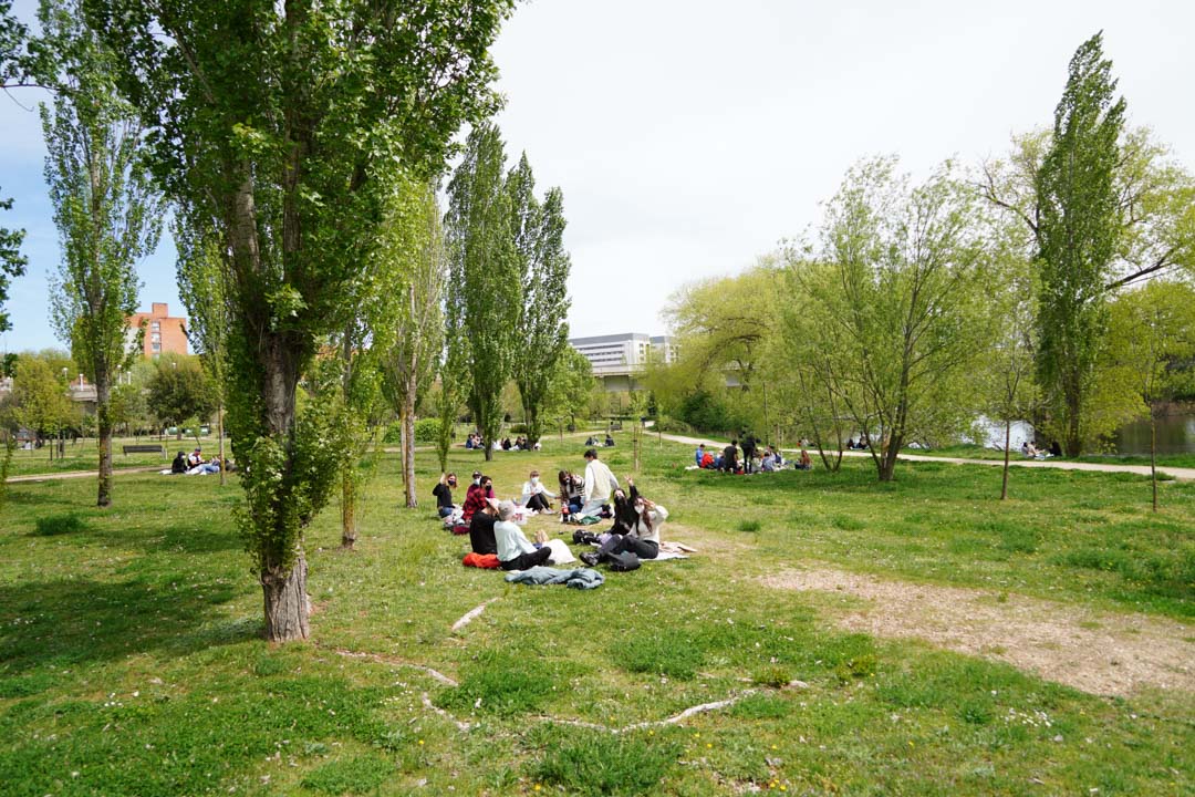 Lunes de Aguas en Salamanca 