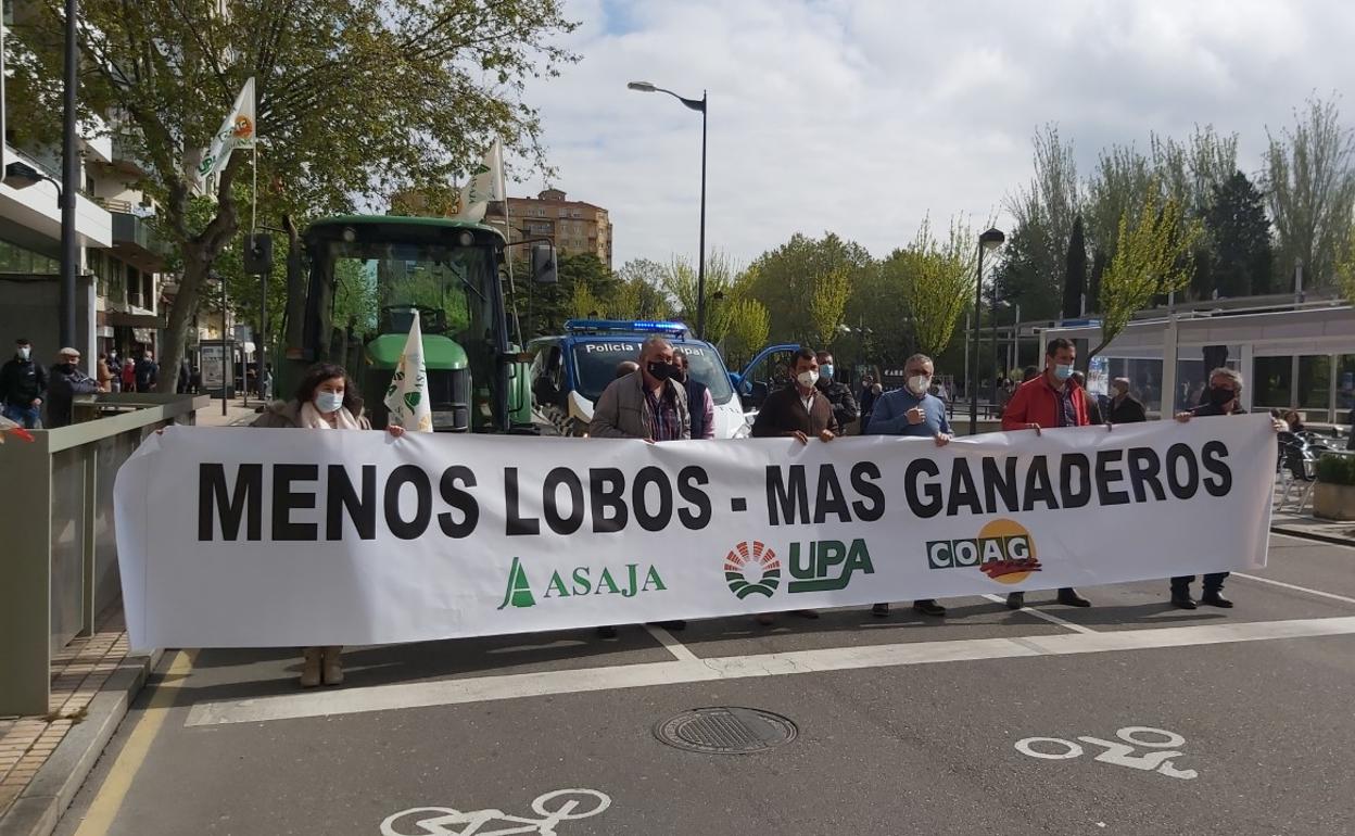 Representantes de las organizaciones agrarias tras la pancarta en la marcha de vehículos por las calles de Zamora. 