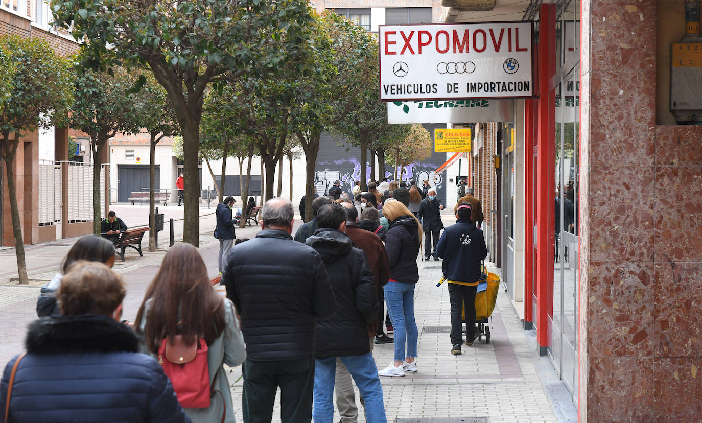 Colas para retirar una entrada para la feria taurina de San Pedro Regaldo en Valladolid.