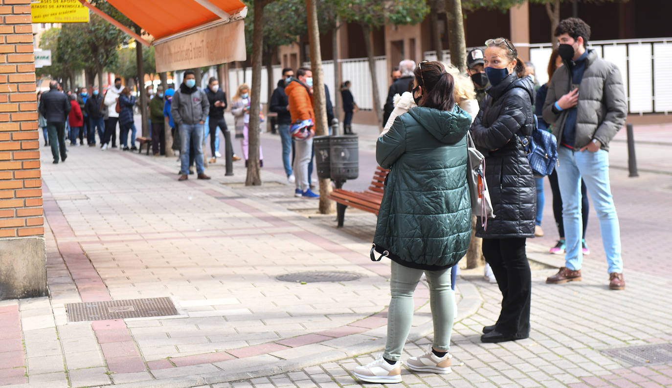 Colas para retirar una entrada para la feria taurina de San Pedro Regaldo en Valladolid.