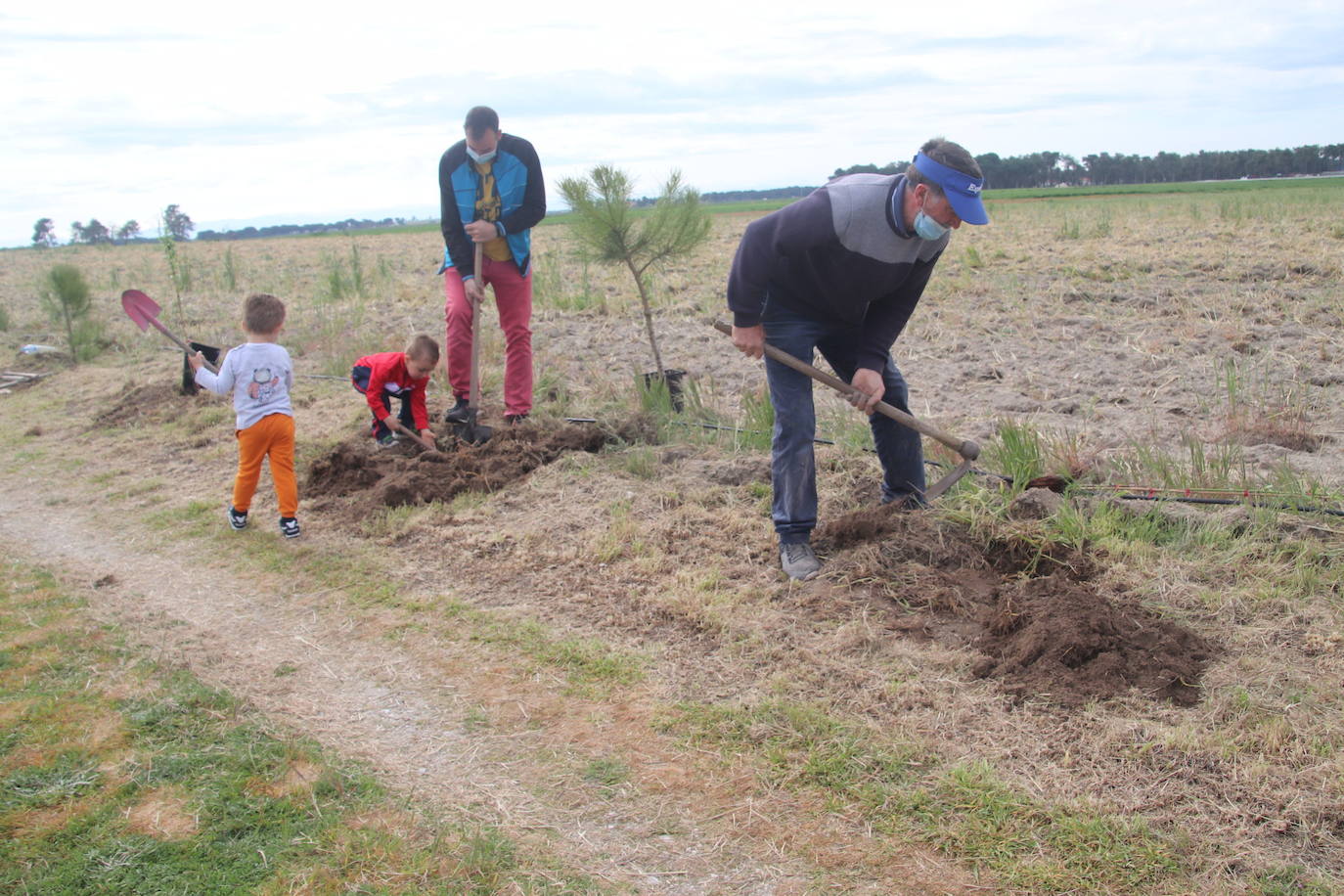 Plantación de árboles este sábado junto a la ermita de San Mamés.