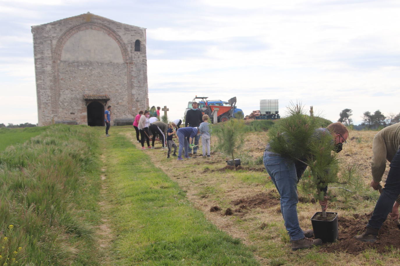 Plantación de árboles este sábado junto a la ermita de San Mamés.