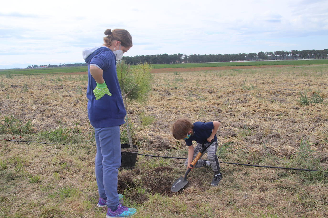 Plantación de árboles este sábado junto a la ermita de San Mamés.