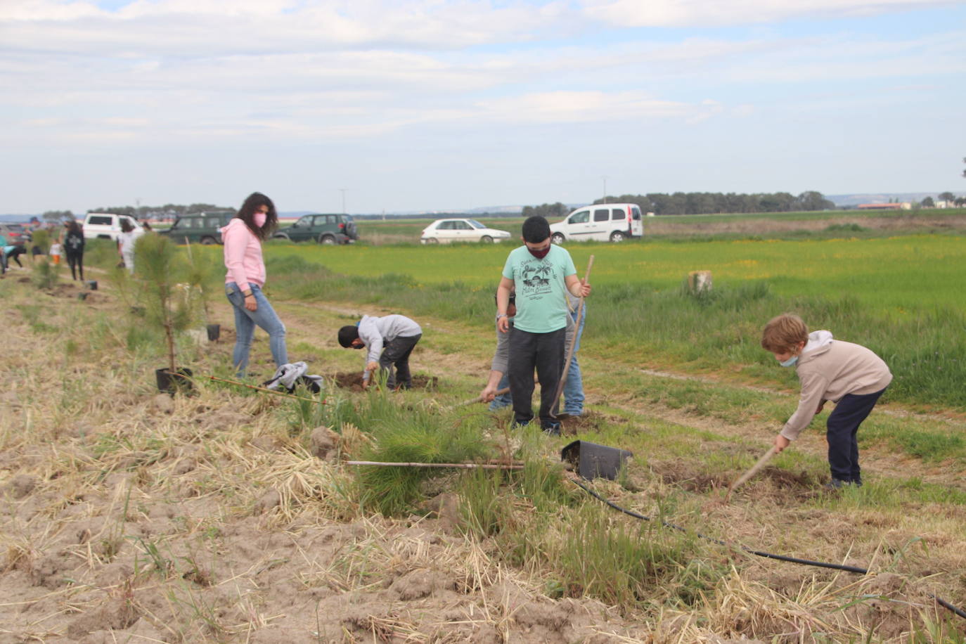 Plantación de árboles este sábado junto a la ermita de San Mamés.