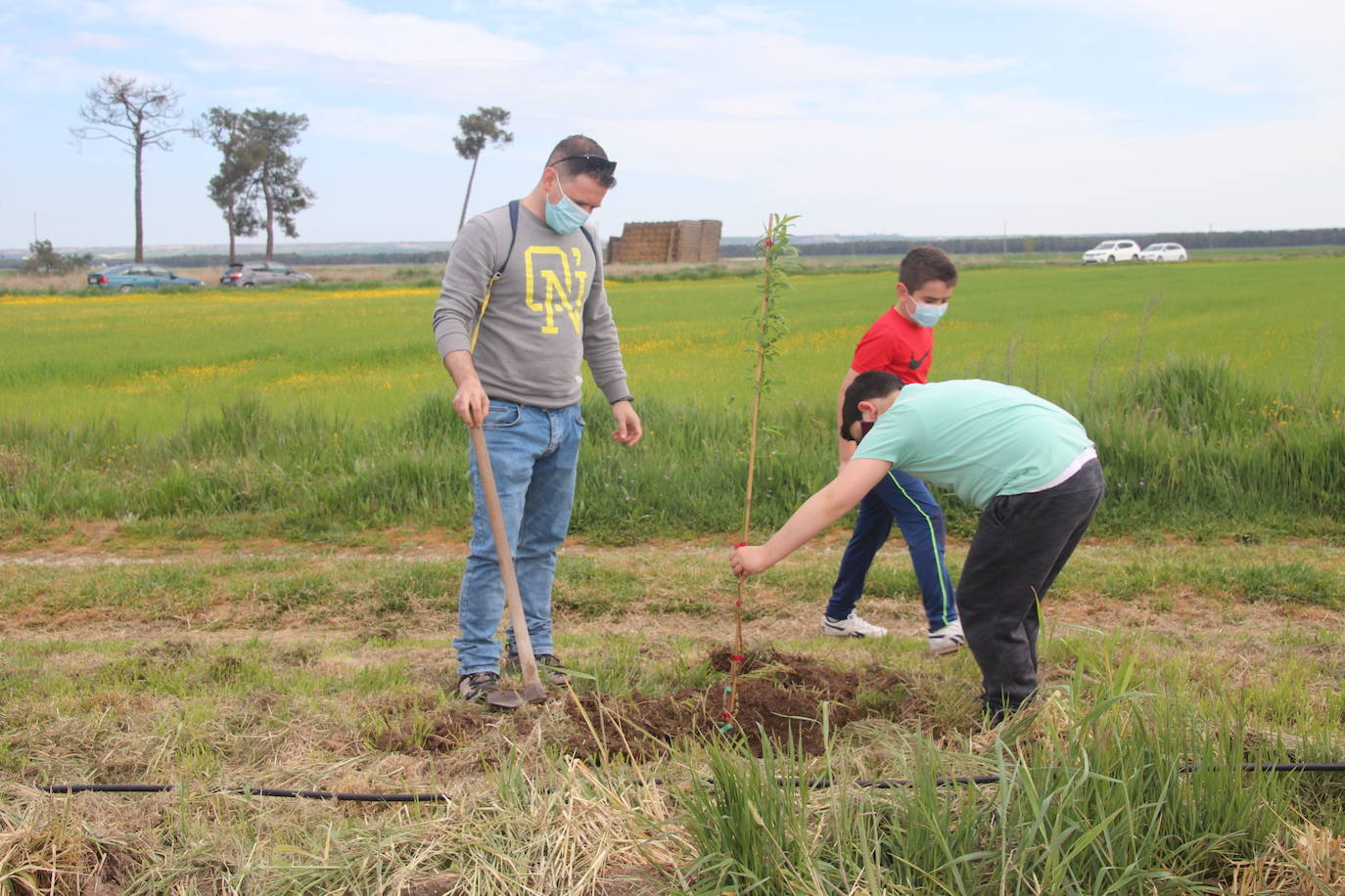 Plantación de árboles este sábado junto a la ermita de San Mamés.