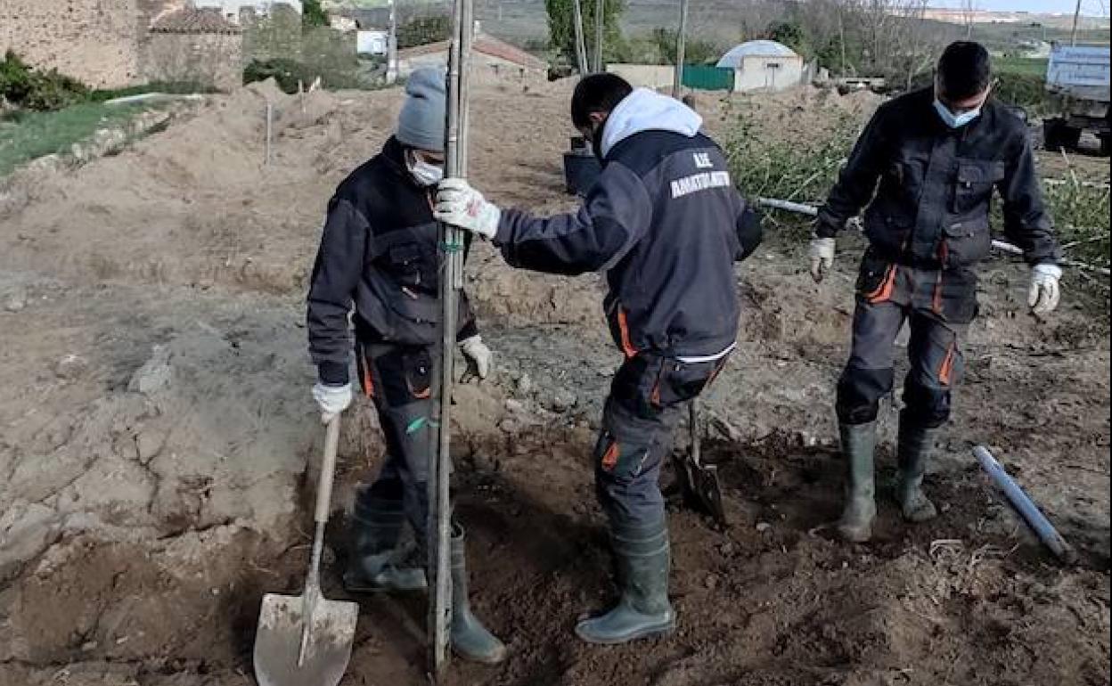 Los alumnos llevando a cabo las plantaciones.